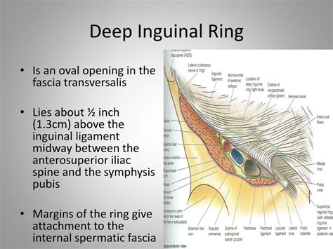 Deep Ring .